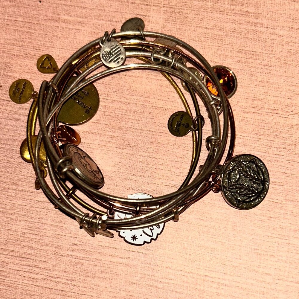 Lot Alex and Ani Bracelet Lot – Assorted Charms and Styles